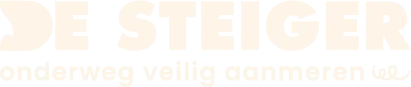 Logo-DE STEIGER